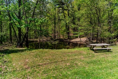 pond
