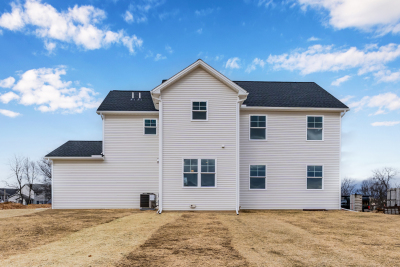stanford-back-straight